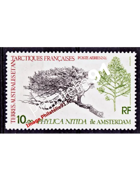 TAAF -  P.A. n°  60 - Flore - Le Phylica nitida