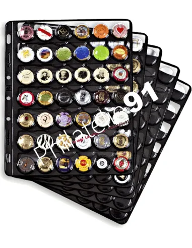 LEUCHTTURM,Feuilles pour album COMPART 42,Matériel toutes collections