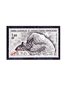 TAAF -  P.A. n°  67 - Faune - Oiseau - Chionis