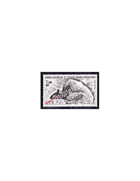 TAAF -  P.A. n°  67 - Faune - Oiseau - Chionis