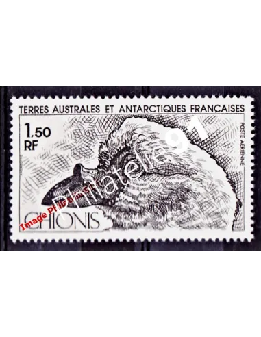 TAAF -  P.A. n°  67 - Faune - Oiseau - Chionis