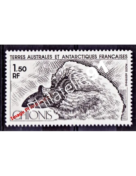 TAAF -  P.A. n°  67 - Faune - Oiseau - Chionis