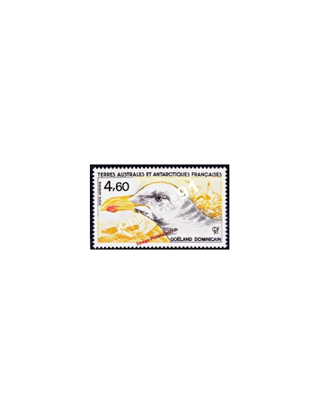 TAAF -  P.A. n°  92 - Faune antarctique - Goéland dominicain
