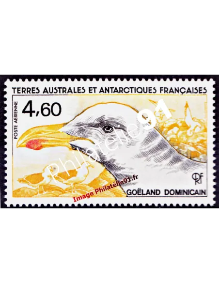 TAAF -  P.A. n°  92 - Faune antarctique - Goéland dominicain