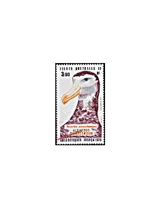 TAAF -  P.A. n°  87 - Faune antarctique - Albatros d'Amsterdam
