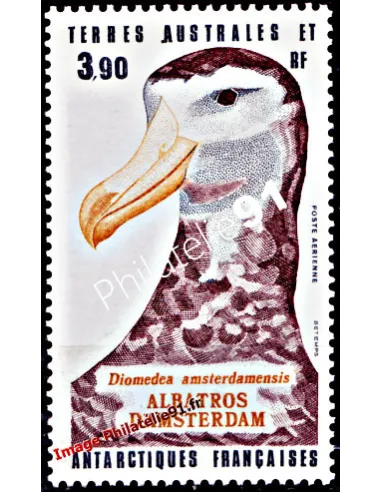 TAAF -  P.A. n°  87 - Faune antarctique - Albatros d'Amsterdam