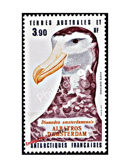 TAAF -  P.A. n°  87 - Faune antarctique - Albatros d'Amsterdam