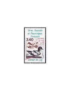 TAAF -  P.A. n° 121 - Faune - Oiseaux - Damier du Cap