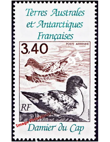TAAF -  P.A. n° 121 - Faune - Oiseaux - Damier du Cap