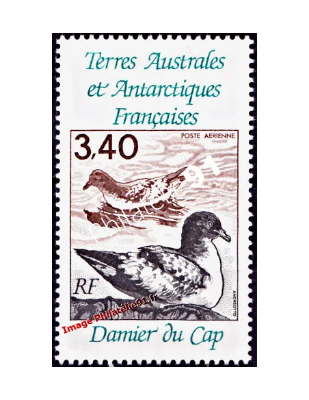 TAAF -  P.A. n° 121 - Faune - Oiseaux - Damier du Cap