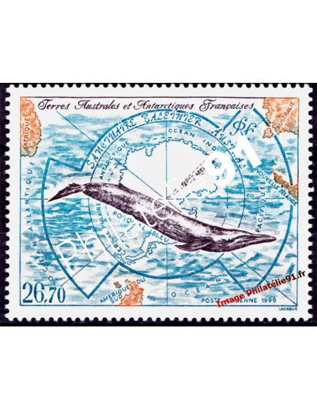 TAAF -  P.A. n° 139 - Rorqual bleu sur carte de l'Antarctique