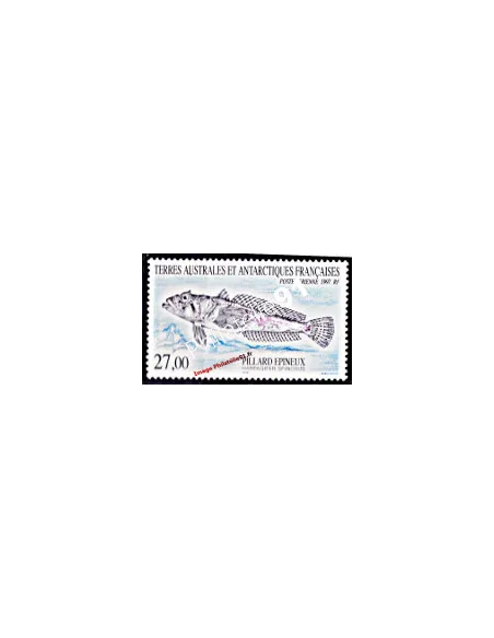 TAAF -  P.A. n° 145 -Faune antarctique. Poisson. pillard épineux