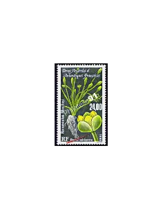 TAAF -  P.A. n° 146 - Flore antarctique - Ranunculus moseleyi