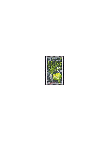 TAAF -  P.A. n° 146 - Flore antarctique - Ranunculus moseleyi