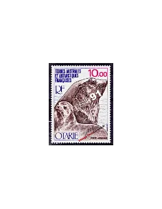 Timbre des TAAF -  P.A. n° 48 - Faune - Otarie