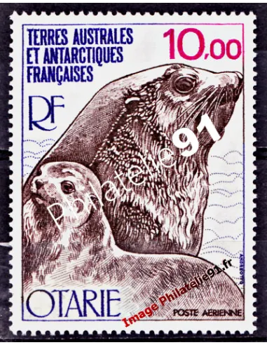 Timbre des TAAF -  P.A. n° 48 - Faune - Otarie