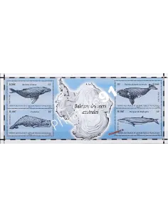 Timbres des TAAF - BF n° 25 - n° 587 à 590 - Faunes, baleines  des mers australes