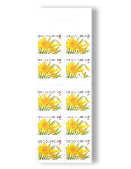 BELGIQUE, Carnet n° 3041, collection timbres Europe
