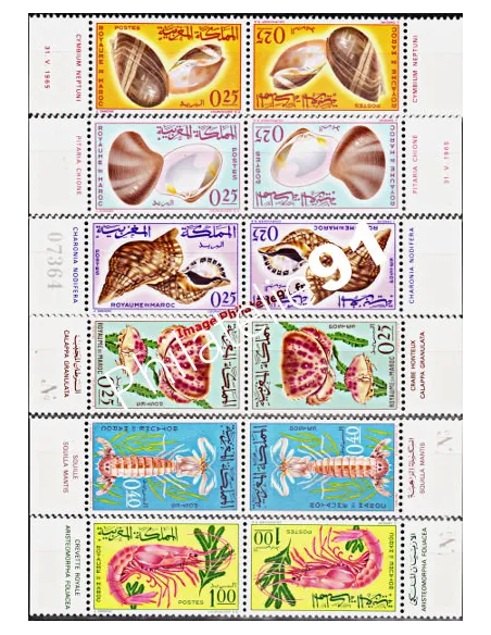 MAROC - n°  488A à 493A - Coquillages et crustacés