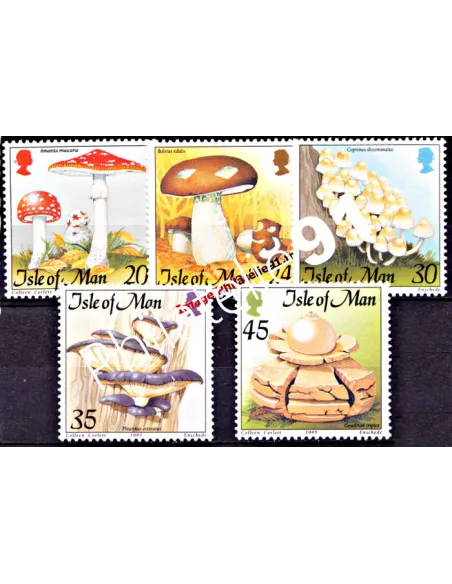 Timbres neufs d’île DE MAN n° 688 à 692 - Flore - Champignons
