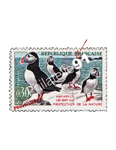 Variété sur Timbre de France n° 1274a, Macareux-moines, timbres France