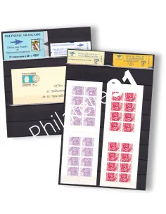 Lot de carnets neufs de Polynésie et Nlle-Calédonie, timbres Dom-Tom