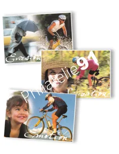 France, 3 entiers postaux neufs, VTT, Collection lettre France