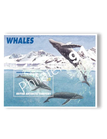 Antarctique britannique, BF n° 3, Collection Timbres du Monde