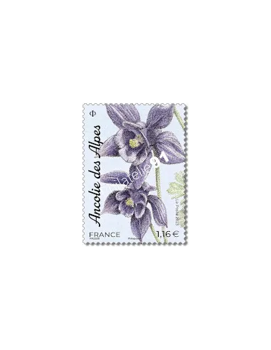 Timbre n° 5652, Ancolie des Alpes, collection timbres de France 2023