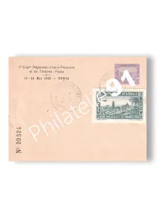 Tunisie, Entier numéroté, Exposition Aero-Philatélie, lettres Colonies