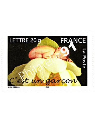 Timbre de France autoadhésif n° 55  (n° 3805) Timbre de naissance "C'est un garçon"