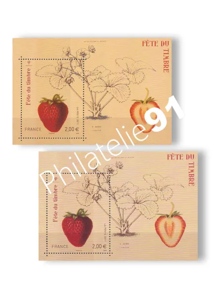 Variété sur Feuille n° 4535, Collection timbres France