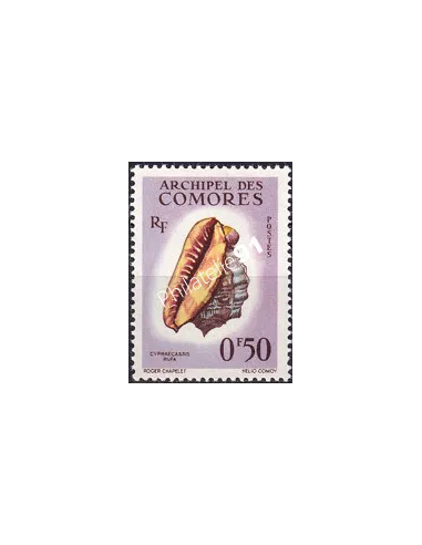 Comores, n° 19, timbres des colonies françaises