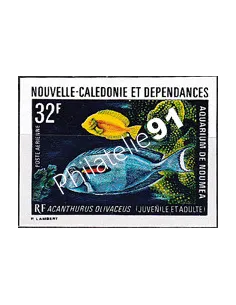 NOUVELLE CALEDONIE, PA n° 145 ND, collection timbres Dom-Tom