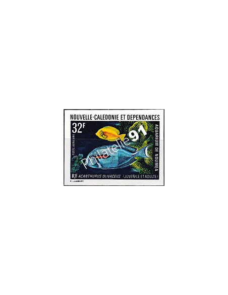 NOUVELLE CALEDONIE, PA n° 145 ND, collection timbres Dom-Tom
