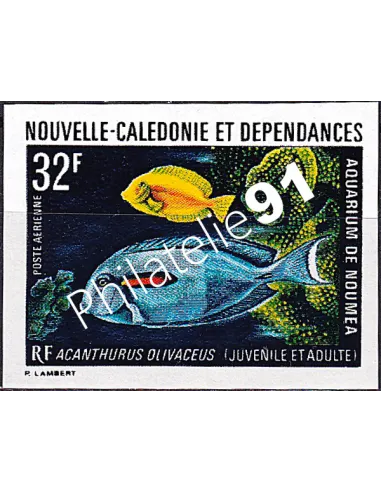 NOUVELLE CALEDONIE, PA n° 145 ND, collection timbres Dom-Tom