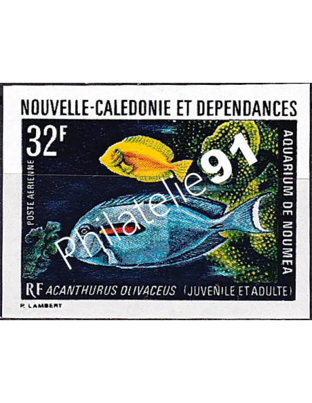 NOUVELLE CALEDONIE, PA n° 145 ND, collection timbres Dom-Tom