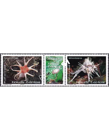 NOUVELLE CALEDONIE, n° 1405 à 1406, Paire avec vignette, Dom-Tom