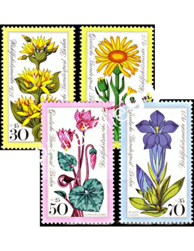 Timbres neufs de BERLIN - n°  474 à 477 - Thématique : Fleurs