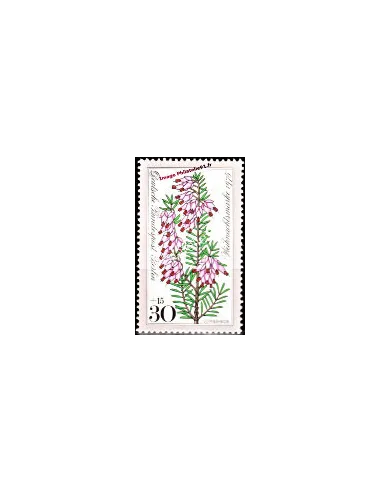 Timbre de BERLIN n° 479 - Thématique : fleur et noël.