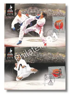 FRANCE - Lot de 2 cartes - Karaté, Timbres France