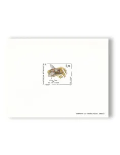 St-Pierre & Miquelon, Épreuve de luxe, n° 594, timbres Dom-Tom