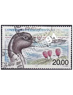 timbre de ST PIERRE ET MIQUELON PA n° 79, Canard, collection Dom-Tom