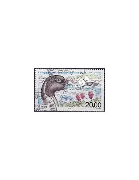timbre de ST PIERRE ET MIQUELON PA n° 79, Canard, collection Dom-Tom