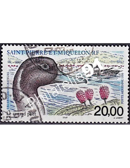 timbre de ST PIERRE ET MIQUELON PA n° 79, Canard, collection Dom-Tom