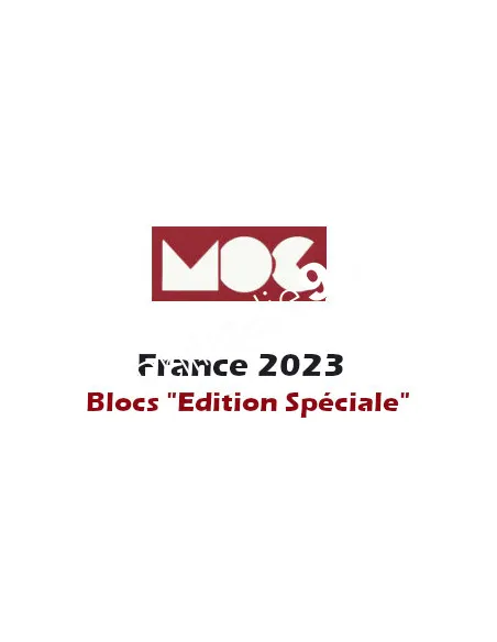 Jeu MOC france 2023 pour blocs édition spéciale, jeux 2023