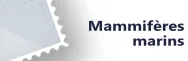 Mammifères marins