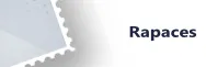 Rapaces