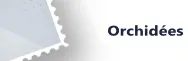Orchidées